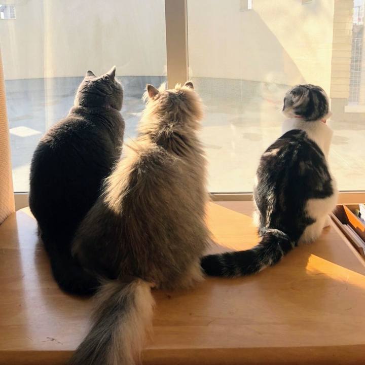 2b5d33d9 b82d 445b 8724 fea277420e75 1648081353518