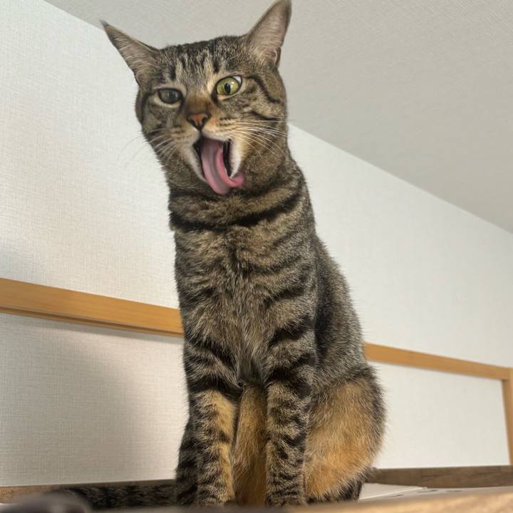 2b5d44a2 a0c8 4601 993a 81fedc9ac7b4 1760579747856