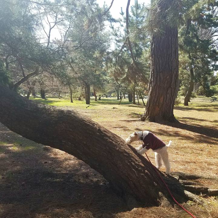 2b5d4ce1 c82b 43db 94c3 1188ea49d286 1552128791008