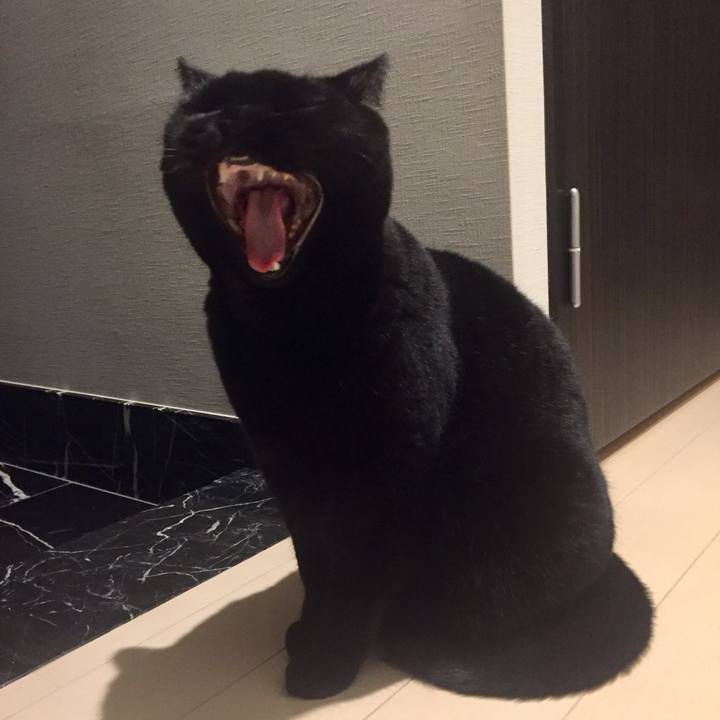 2b5daa44 3df2 4a80 836f c497bc71e159 1547898729246