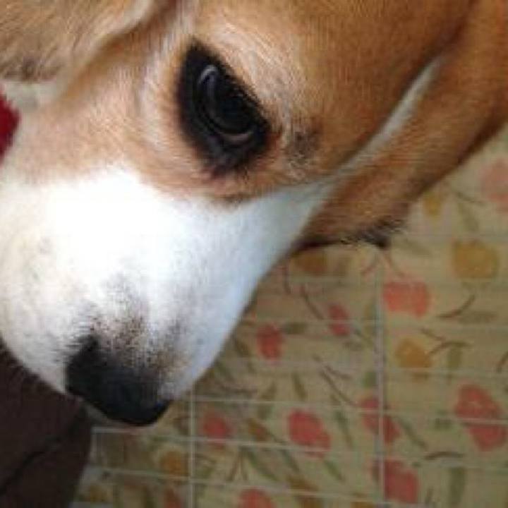 2b5dd1f2 399a 4ea9 9421 ab522301746d 1732337806203