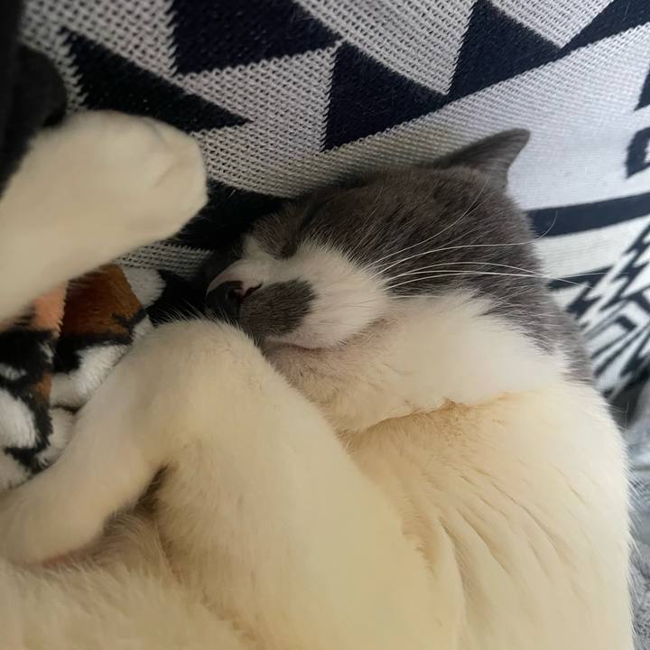 2b5dd862 1cb1 4162 aab9 3e18673d95d7 1741668111827