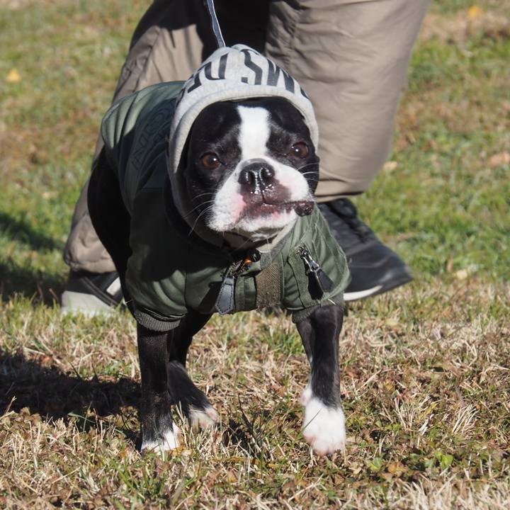 2b5de7e6 c20d 400c 93a1 f9d4acbaabfb 1639808402400