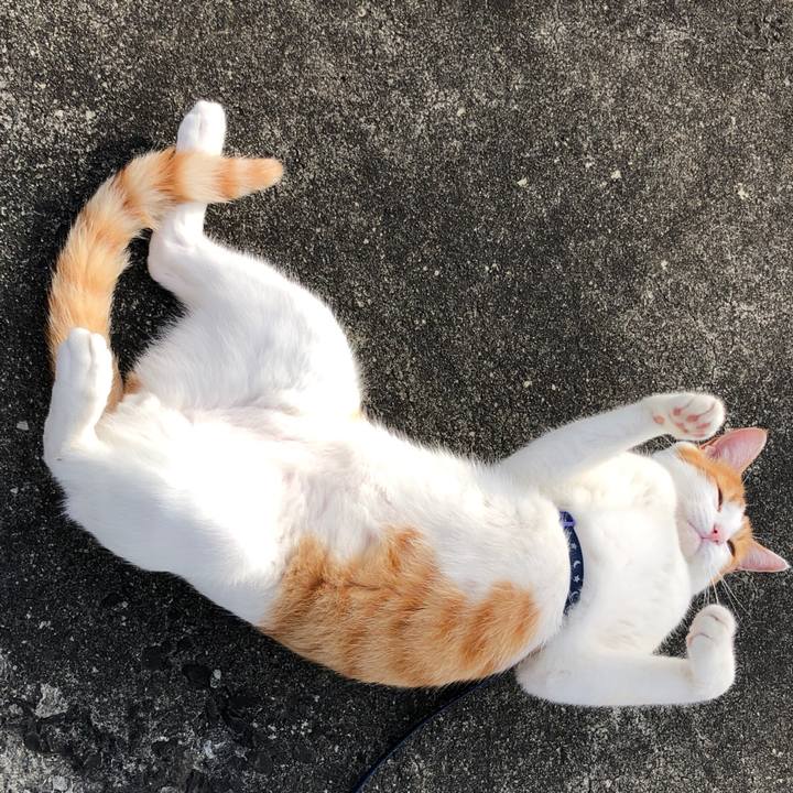 2b5dfed6 03ed 4845 9143 a4d88c1f3c3b 1539600317613