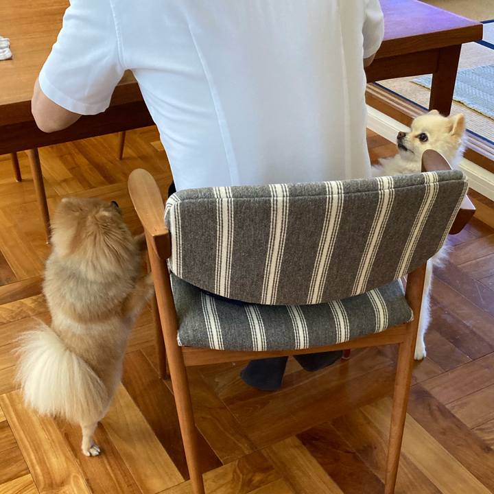 2b5e46db 54ff 4e6e 8d8b 4cae901662d5 1654642712271