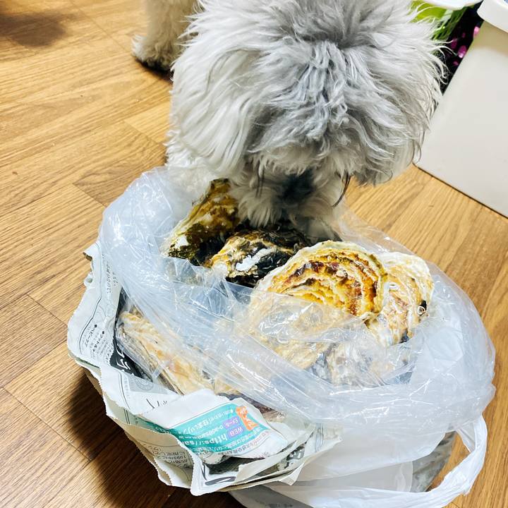 2b5e7d03 65c1 490b 942d 1ca441ae1bc2 1614514123875