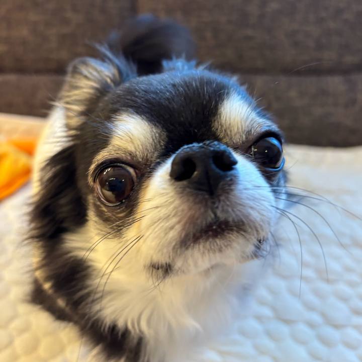 2b5ea915 248f 4935 b64c 71e0f7500707 1740871403948