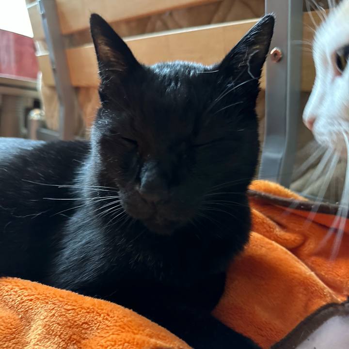 2b5ed695 9c1e 4443 8aaa 04bc5ffde5fe 1665971807015