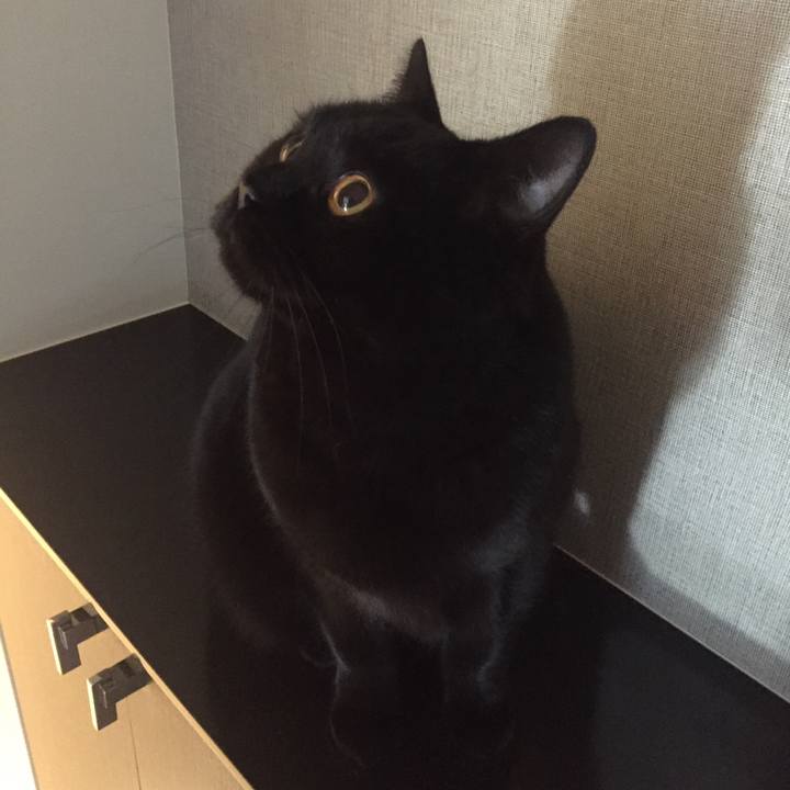 2b5efbf7 fc19 4f96 83dd 669f62a85568 1547301772400