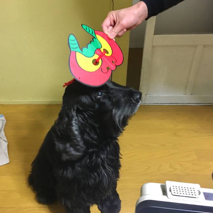 2b5f090c fd63 411d aa2d dad33e3d6dd3 1517669370982