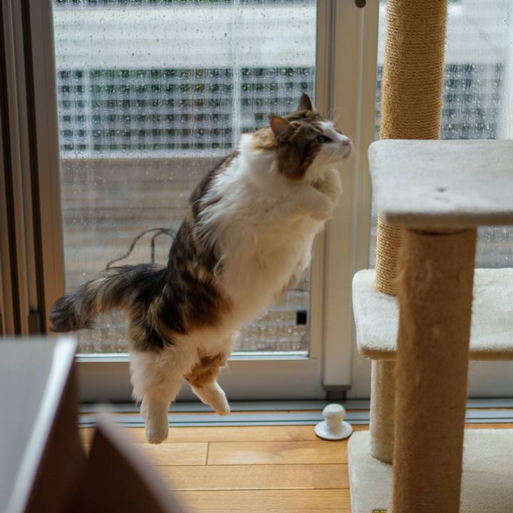 2b5f3348 b875 44c3 8d73 0f95458af0ec 1742091037305