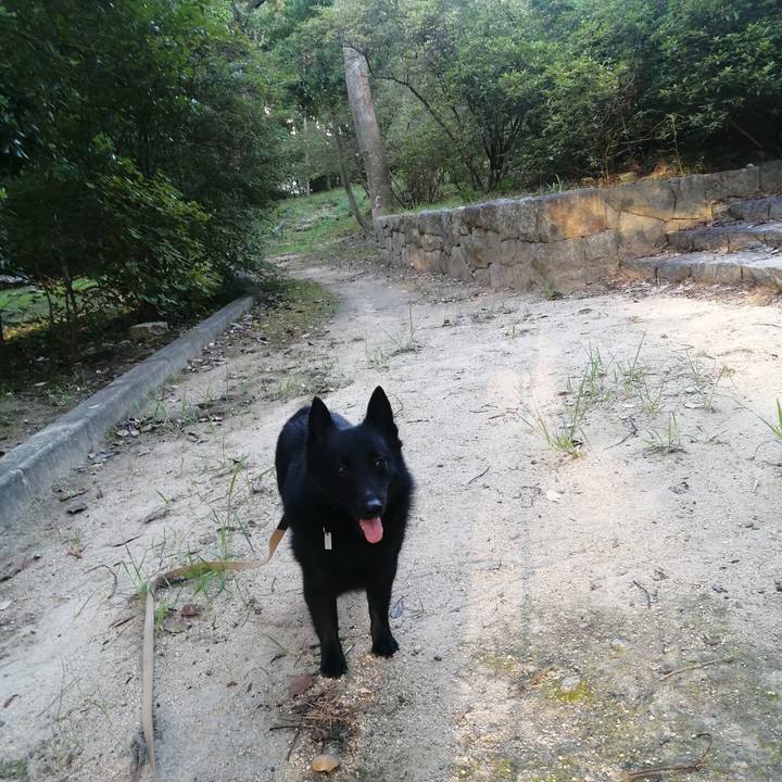 2b5f3e9b 0ae7 4432 bd38 5ee5e0c627dd 1626727847629