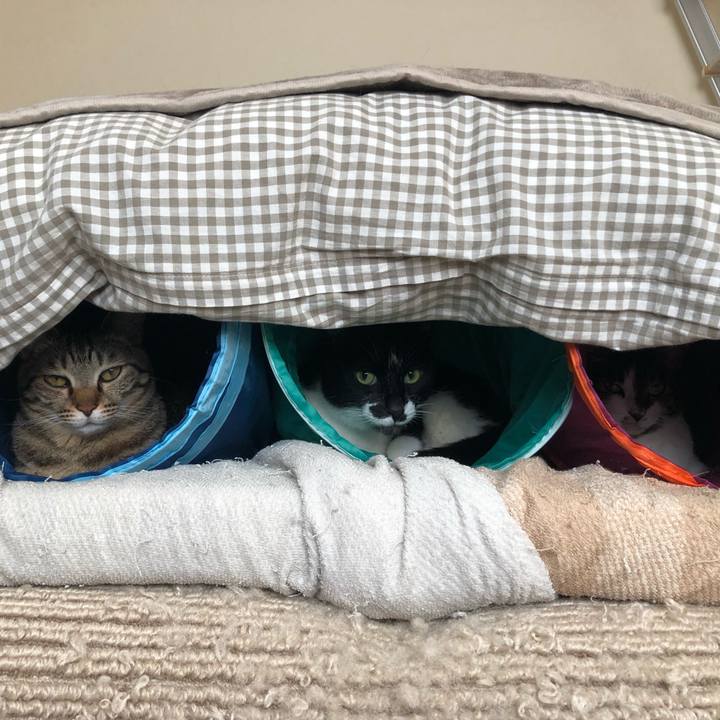 2b5f3ef3 800c 4ba0 bb74 dfd46e0f263d 1612921809023