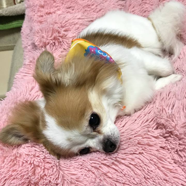 2b5f52b3 6a52 4940 9031 d0f8a740e9ff 1558091667143