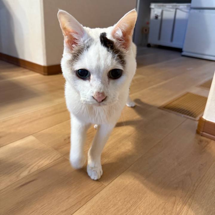 2b5f99e8 657b 42bf 9b4c d19d008260ad 1766893304993