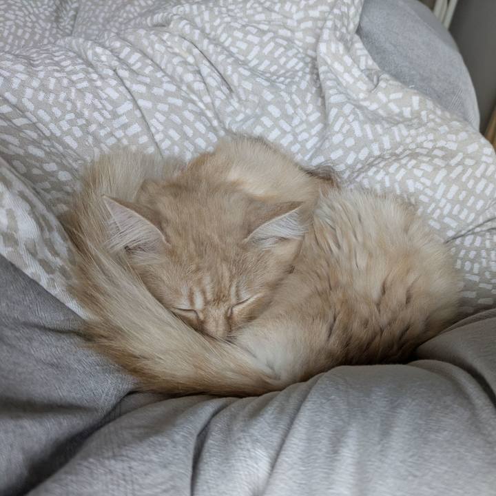 2b5fc52a 023f 4e1b 97ba c5ffc50bed73 1764725824984