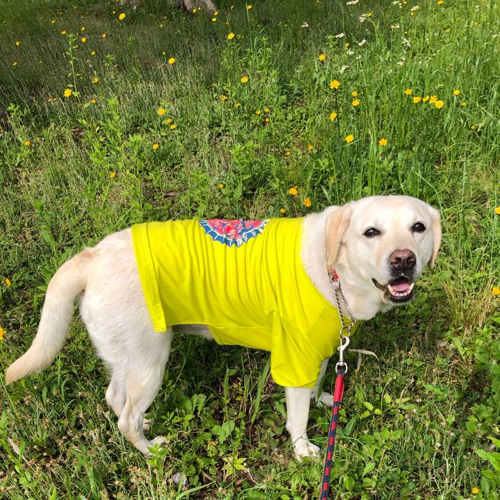 2b5fc871 d1bb 4918 a447 8f7fbe2ef996 1652831412782