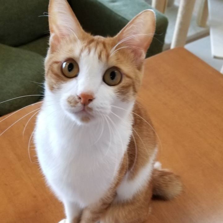 2b5ffe38 486a 4fbe 9e75 f243da351dc7 1549247239683