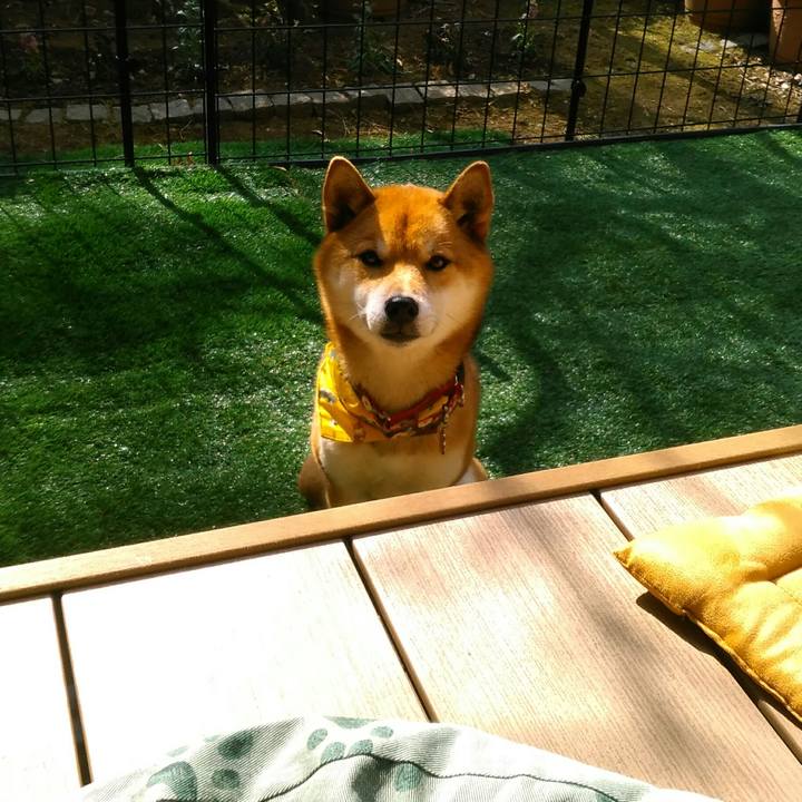 2b600fde 23a9 4347 ae68 30a170e4a33e 1518660237361