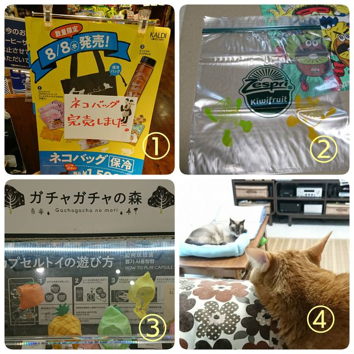 2b601c9b 08e8 44ea 87d3 ca141e6c2458 1533718139134