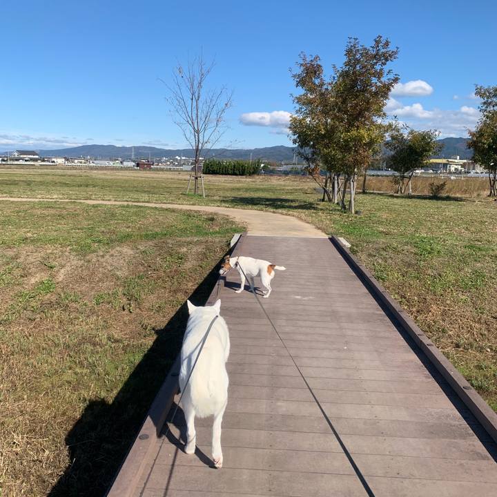 2b60208c 1ff8 43bc 9114 242a9a7df30d 1543094922414