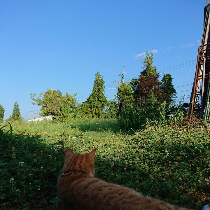 2b602ae0 1bc1 4c8d a23d a3f18a36f3b8 1565819059854