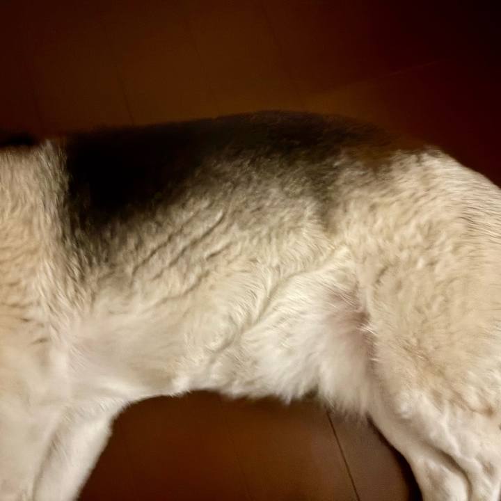 2b602bbe d591 4fb0 81a9 3da21e28947c 1749811228492