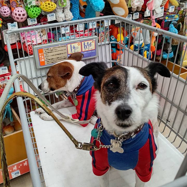 2b603082 3b61 4ee5 a061 d41ff6aacc6d 1654952033499