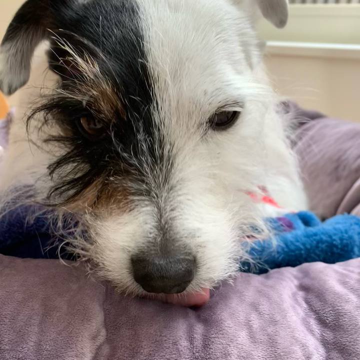 2b608619 e1df 4849 9a0f 66e613ca9168 1646261651036