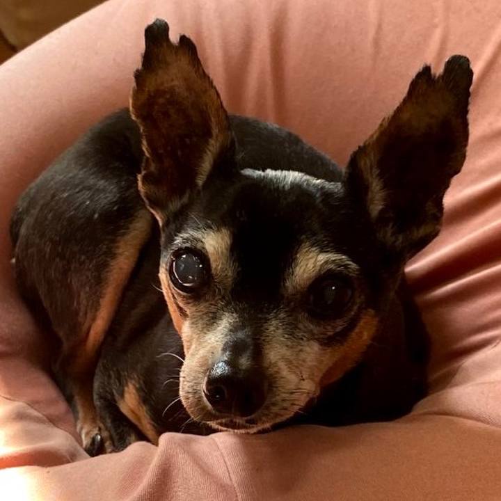 2b609721 1d81 4381 a338 6fb16faec2df 1609397064925