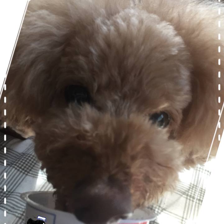 2b6097c8 cce6 45fc b52e dbcb0b543b86 1527980076153