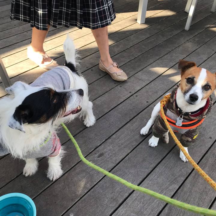 2b60a259 e6e9 4122 9b1c d173f88464cb 1543632397168