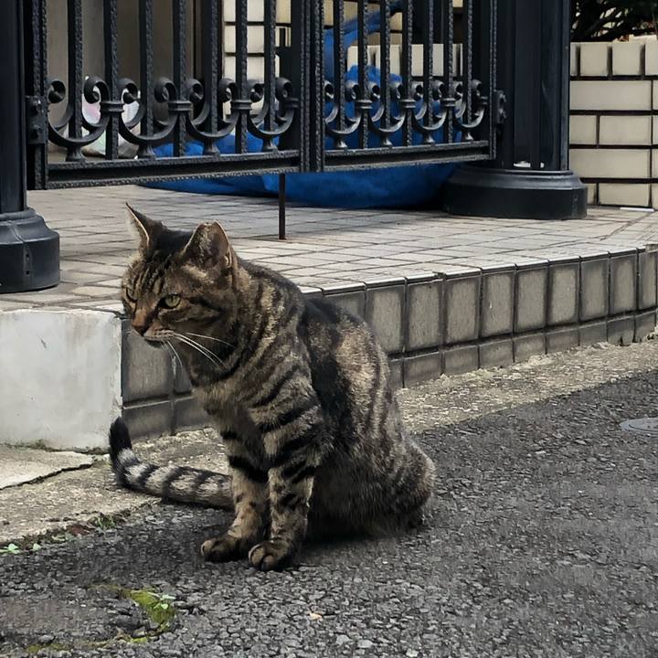 2b60c1a3 e6aa 4b82 b5ef 3a335f90c2e0 1568466365967