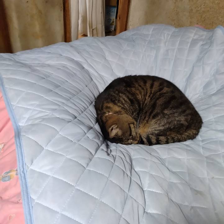 2b610393 78cd 41c0 ab07 d3ab29d133c9 1708254227295