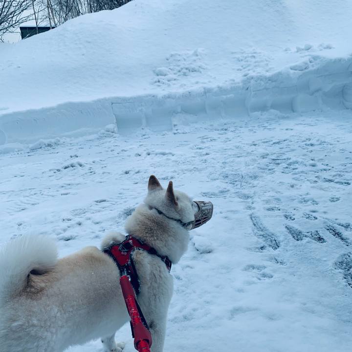 2b613696 c0da 4591 bb60 7c924c69989e 1642483480350