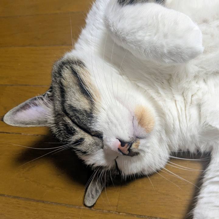 2b6146d0 810a 4498 8575 711654be3556 1775260430294