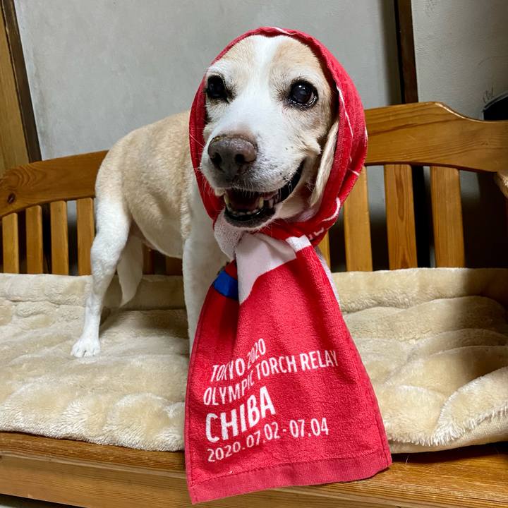 2b618346 9e3a 4145 bd8b 39a38a610b8c 1629711218706