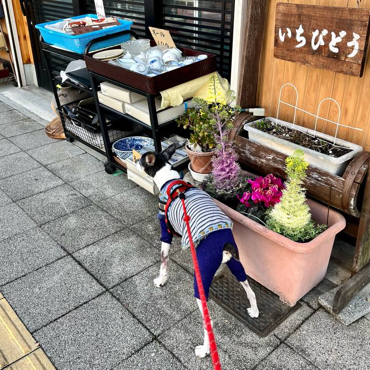 2b618a6f ad36 428a bf6b 96a4a8dd9110 1647782025596