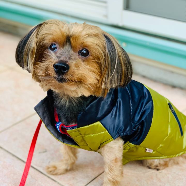 2b61d3ac 9335 4034 b5f1 9abad5555caf 1573254836645