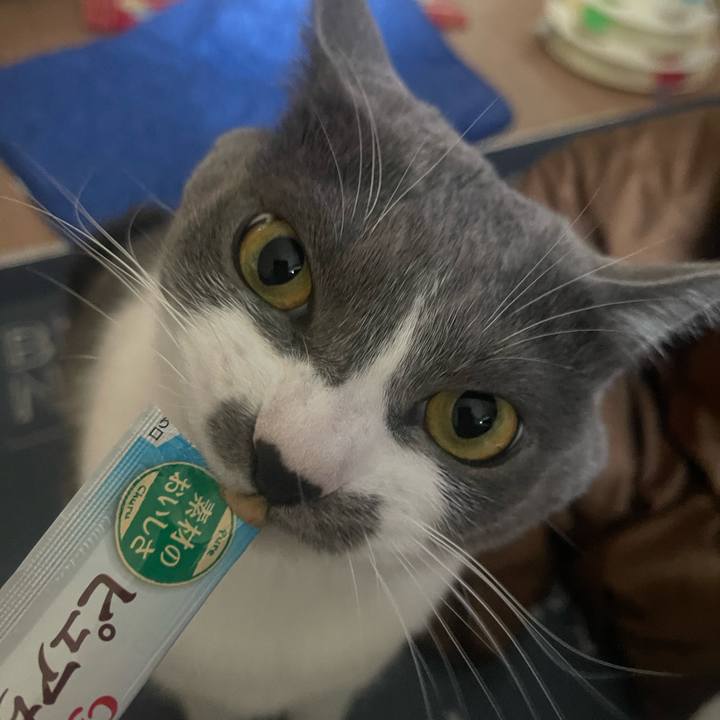 2b61e36f c5ae 4e7a b28b 684f17bab4a6 1700114024900