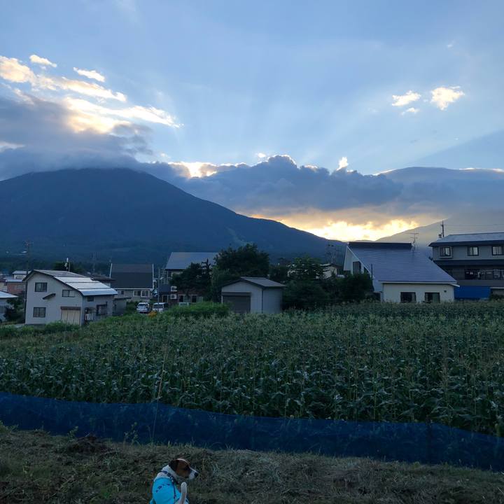 2b61f784 250f 41ed b00e 993a62eb2691 1532856499476