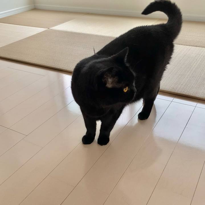 2b6204eb aab5 4a40 827f 770dbb719cbe 1623835057897