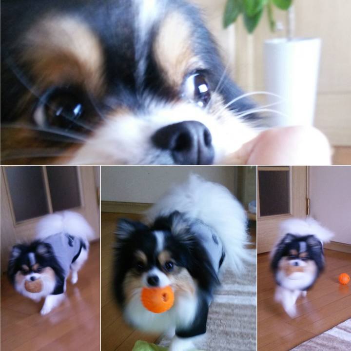 2b622e76 c7ff 4fa2 b518 2c79a680f4bb 1515808431439