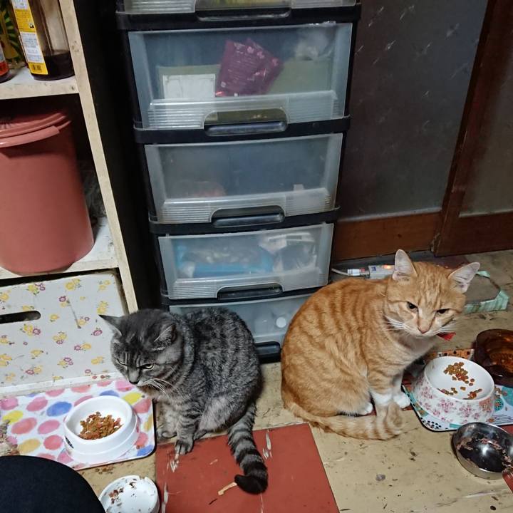 2b62bec6 8676 4760 ac32 c31dbd2ed5cb 1574114077296