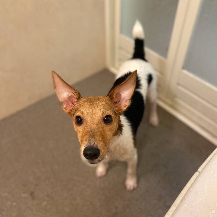 2b632258 bee3 4b9f 8d76 d0d629e8b9b4 1757822564489