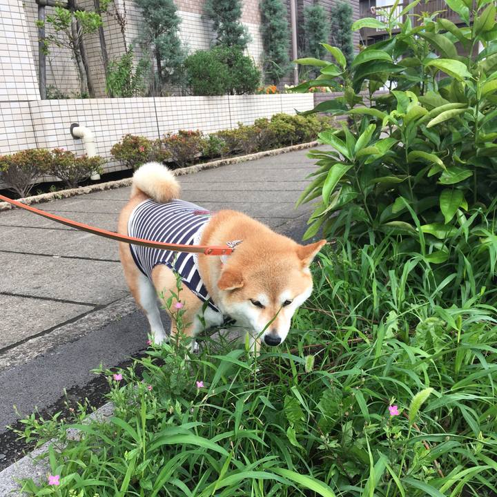 2b639ff0 7e17 4c38 a1f3 3a7dfb1c7aa5 1562975341707