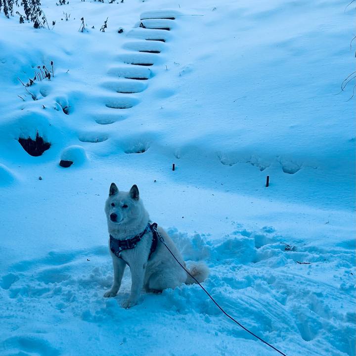 2b63bdde c64b 4570 a32c f898cafe44f4 1733528850568