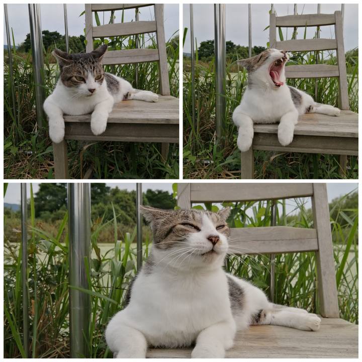 2b63ca7c 2ffe 4338 8d4d 1cb4d8028a06 1631537169037