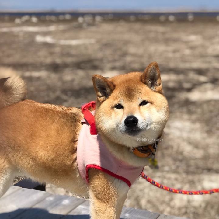 2b63cd1d ff6e 4c39 92b3 f8b32feb6c1a 1556603883474