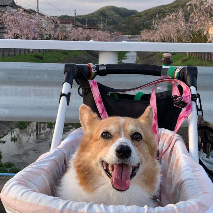 2b63f35f 58e6 4f76 89bb c988a4dd47d6 1713000321285